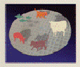 Animal Book